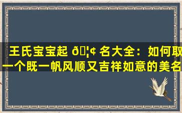 王氏宝宝起 🦢 名大全：如何取一个既一帆风顺又吉祥如意的美名